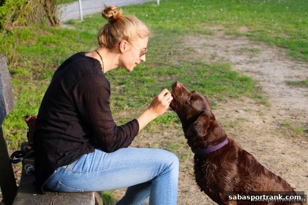 沙巴体育官网网视角：电竞赛事直播平台安全性深度对比与推荐